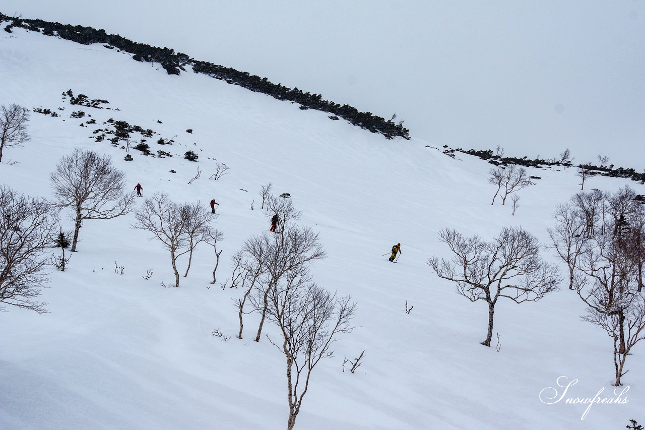 季節外れの冬景色！Mt.石井スポーツ / b.c.mapイベント『児玉毅と行く！ジンパdeバックカントリー旭岳』に同行(*^^)v 